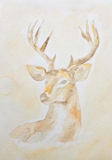 Deer